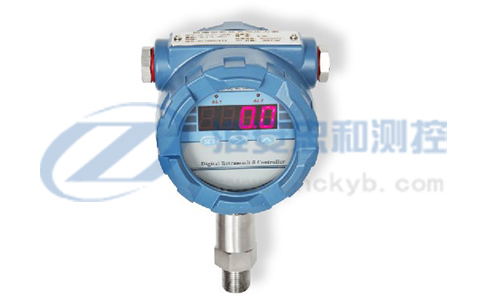 防爆數(shù)顯電接點(diǎn)壓力表